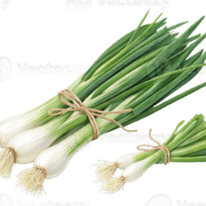 Spring onion
